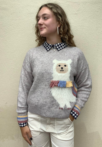 Llama Sweater