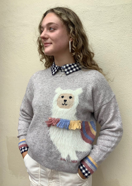 Llama Sweater