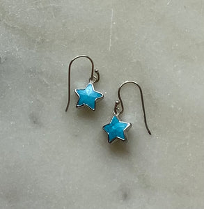 Petite Star Earrings