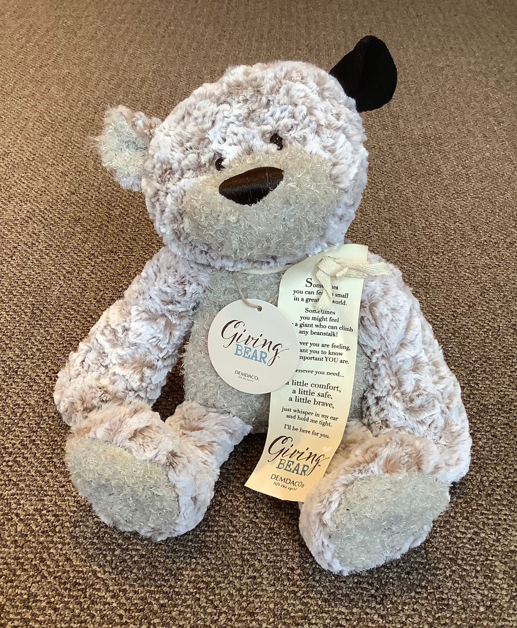 Giving Teddy Bear