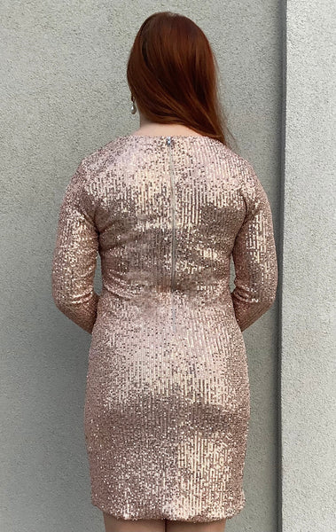 Rosey Sequin Dress